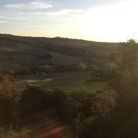 Le Tartarughe Rooms Magliano in Toscana Eksteriør bilde