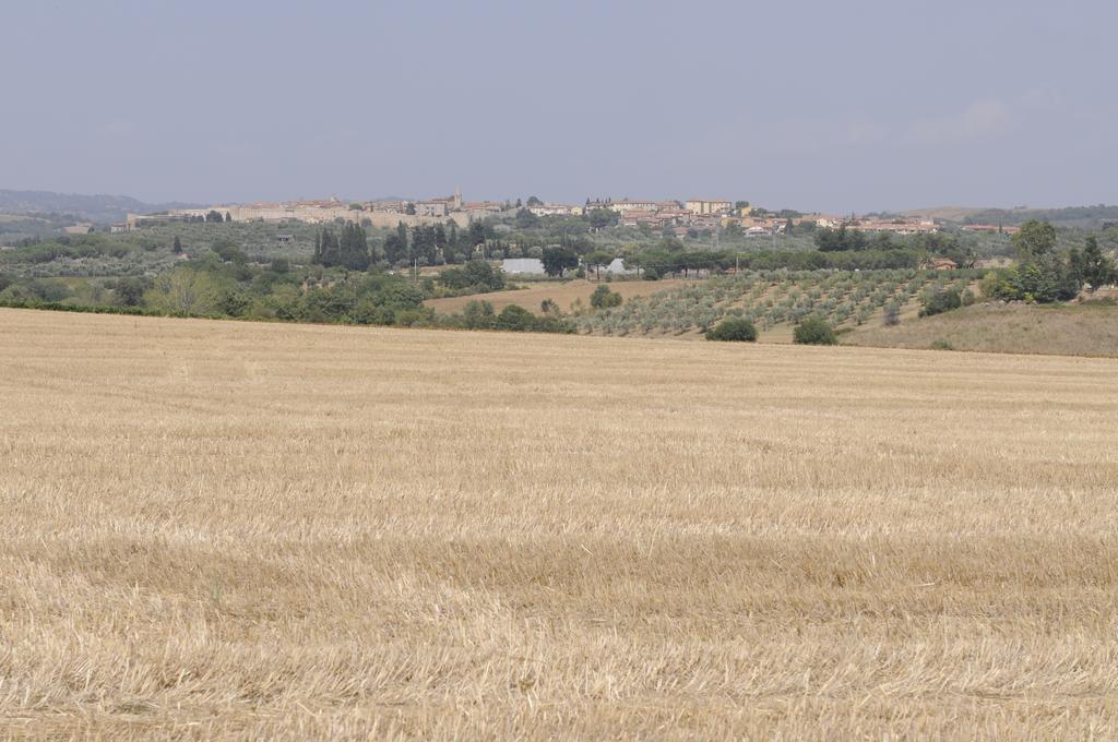 Le Tartarughe Rooms Magliano in Toscana Eksteriør bilde