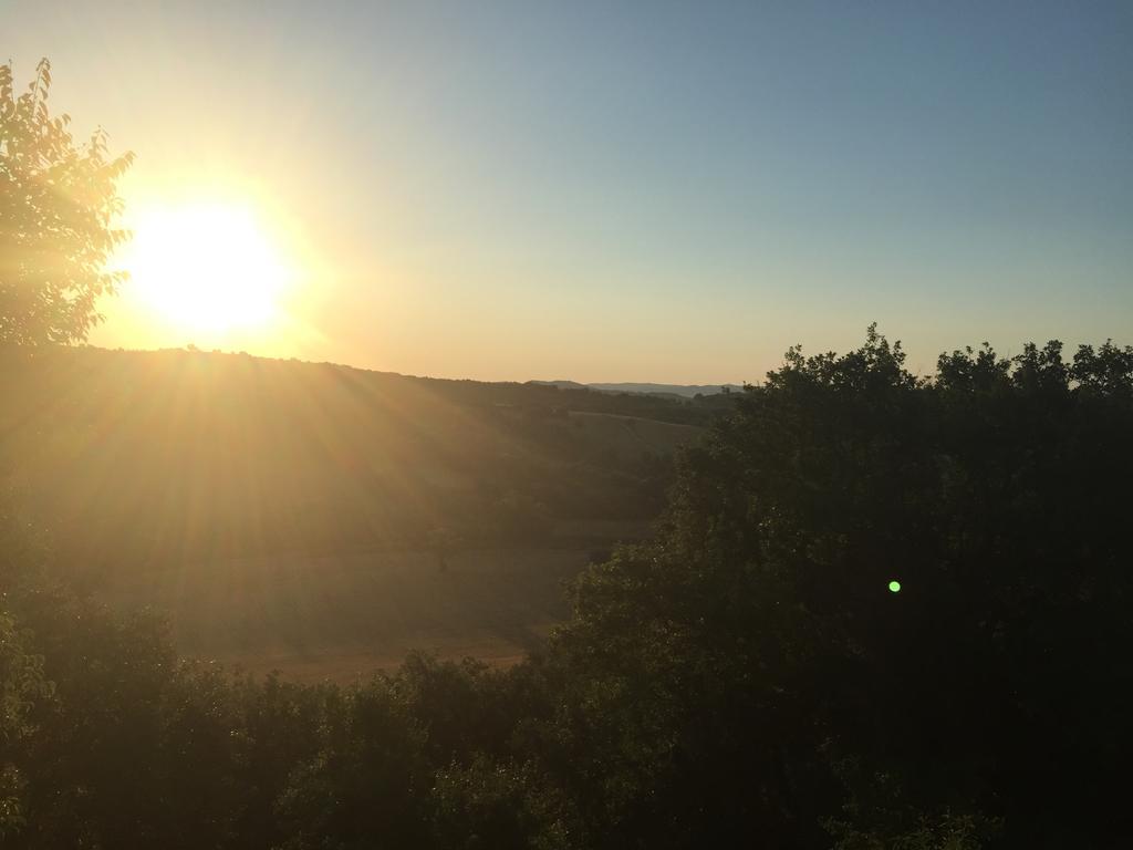 Le Tartarughe Rooms Magliano in Toscana Eksteriør bilde