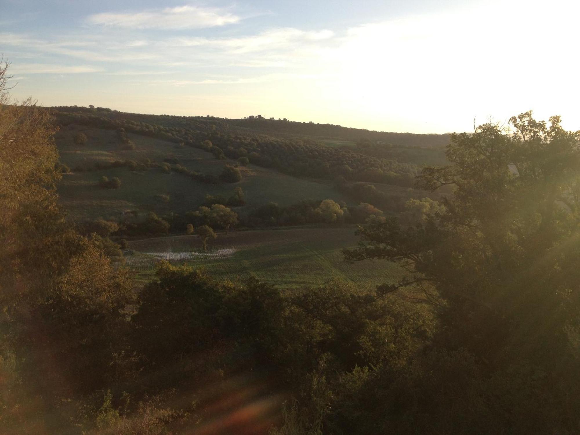 Le Tartarughe Rooms Magliano in Toscana Eksteriør bilde
