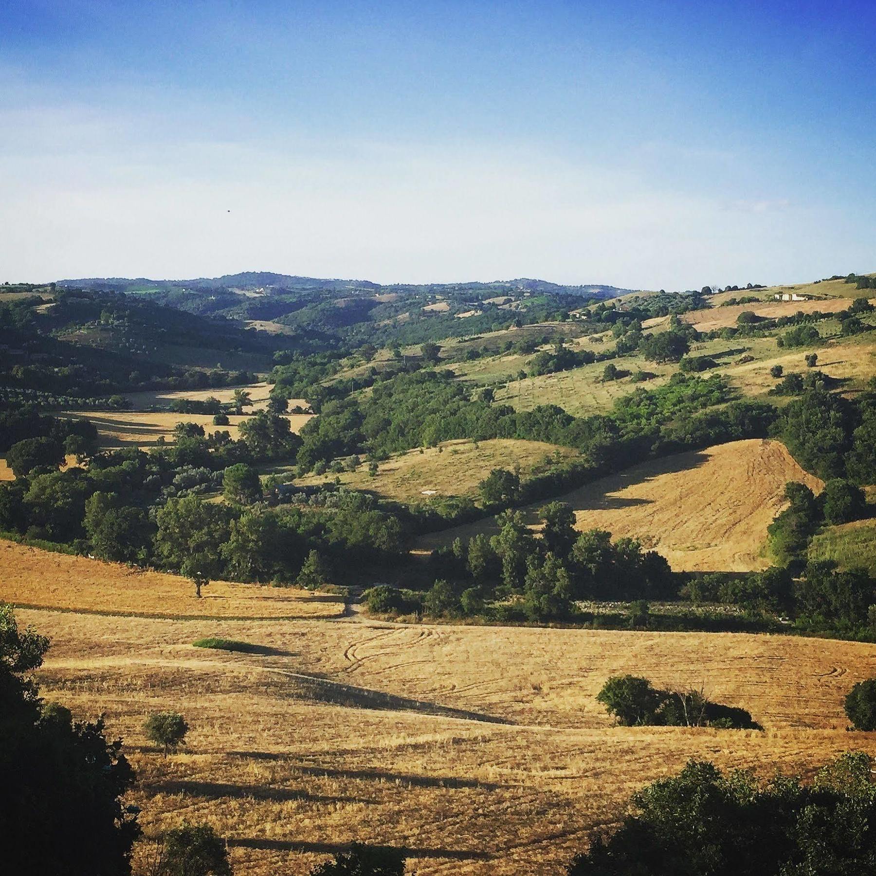 Le Tartarughe Rooms Magliano in Toscana Eksteriør bilde