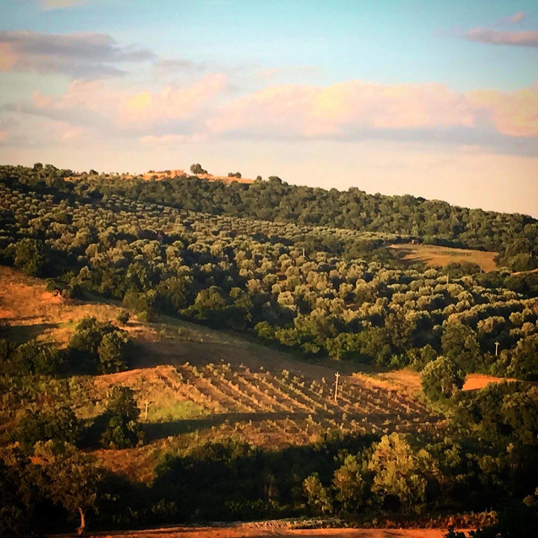 Le Tartarughe Rooms Magliano in Toscana Eksteriør bilde