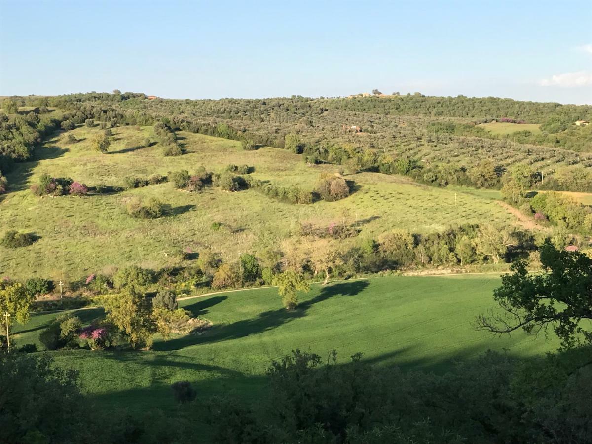 Le Tartarughe Rooms Magliano in Toscana Eksteriør bilde