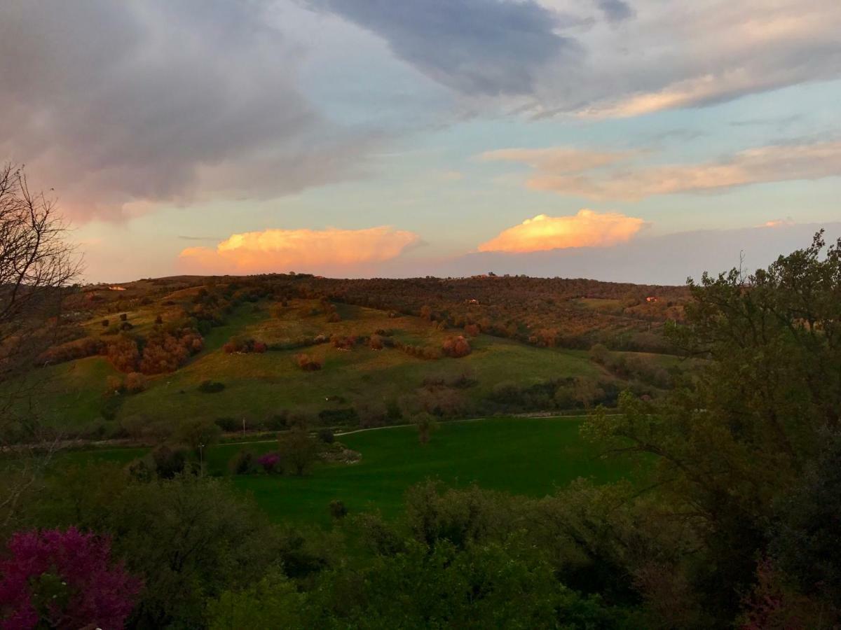 Le Tartarughe Rooms Magliano in Toscana Eksteriør bilde